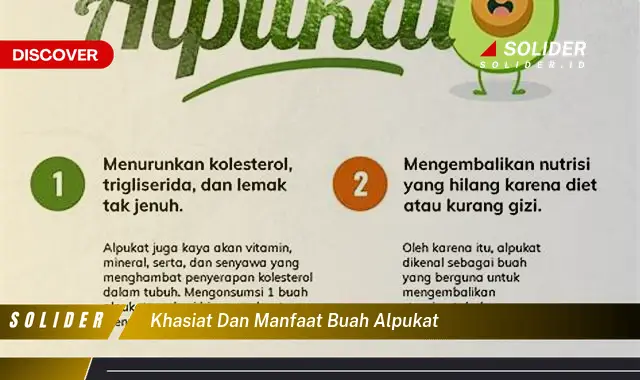 khasiat dan manfaat buah alpukat