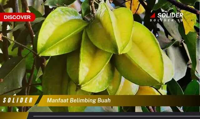 manfaat belimbing buah