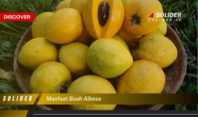 manfaat buah alkesa