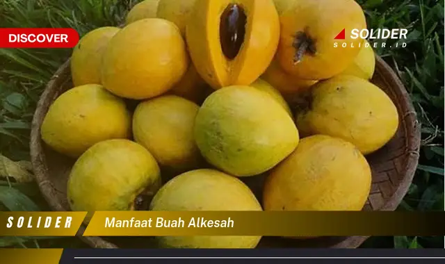 manfaat buah alkesah