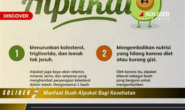 manfaat buah alpukat bagi kesehatan