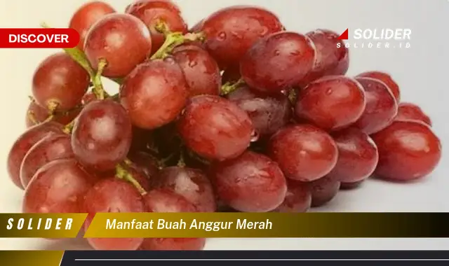 manfaat buah anggur merah