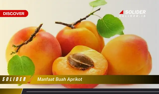 manfaat buah aprikot