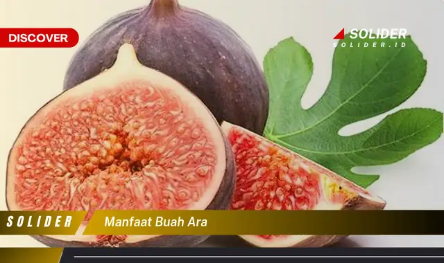 manfaat buah ara