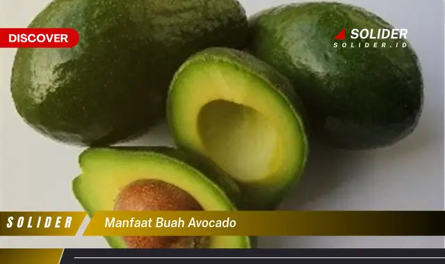 manfaat buah avocado