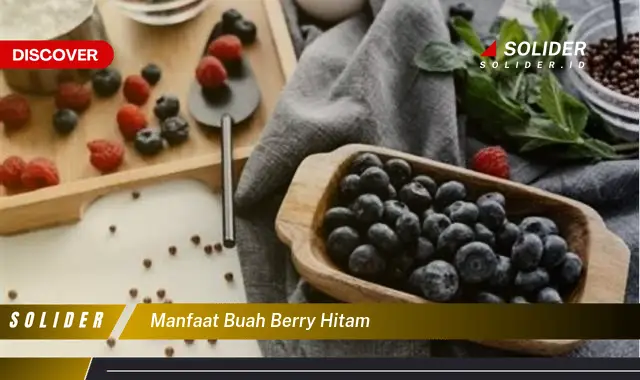 manfaat buah berry hitam