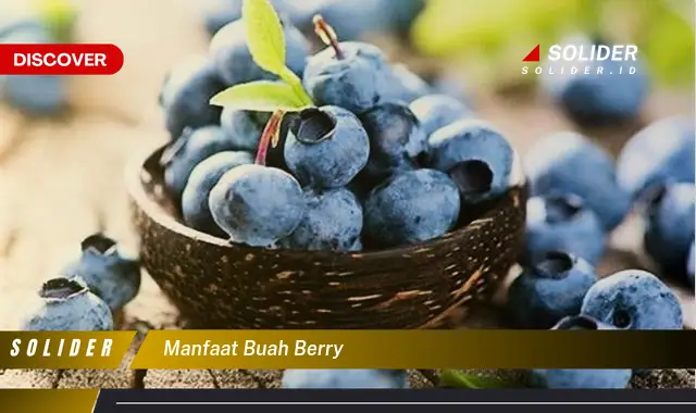 manfaat buah berry