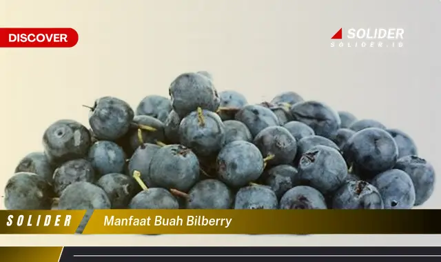 manfaat buah bilberry