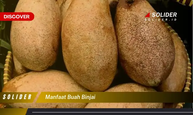 manfaat buah binjai