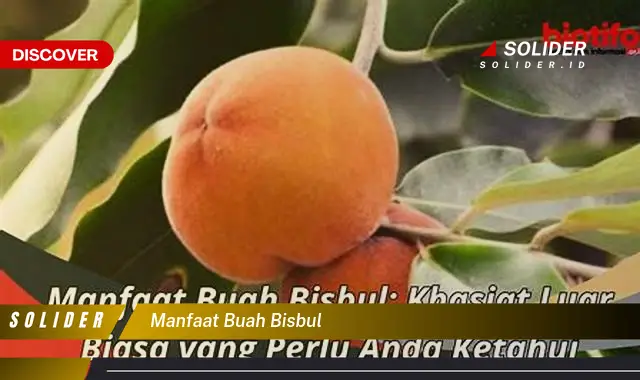 manfaat buah bisbul