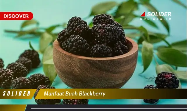 manfaat buah blackberry