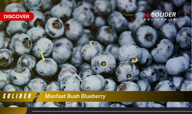 manfaat buah blueberry