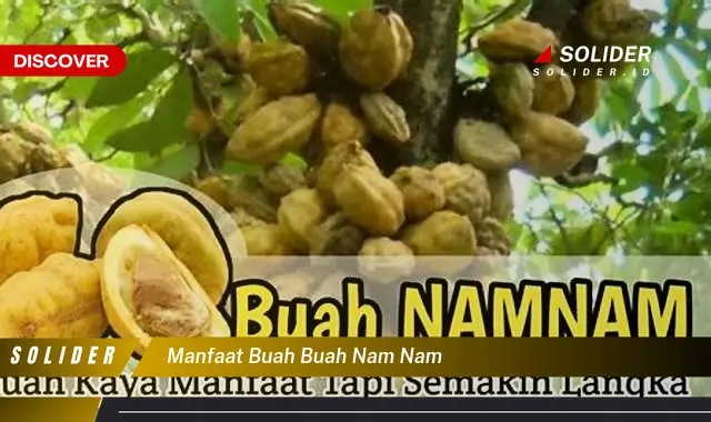 manfaat buah buah nam nam