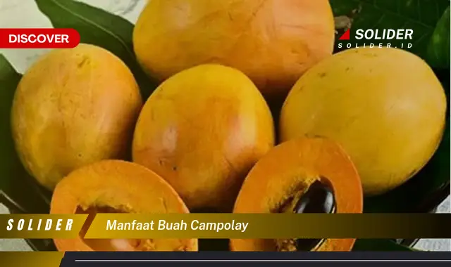 manfaat buah campolay