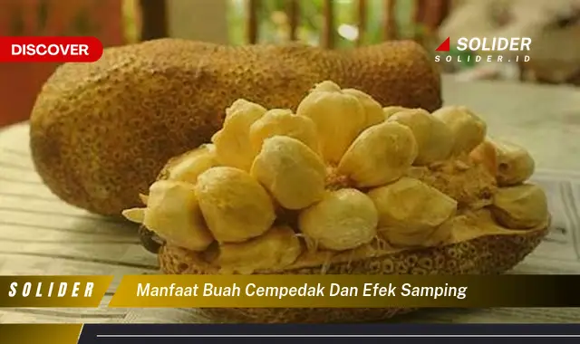 manfaat buah cempedak dan efek samping