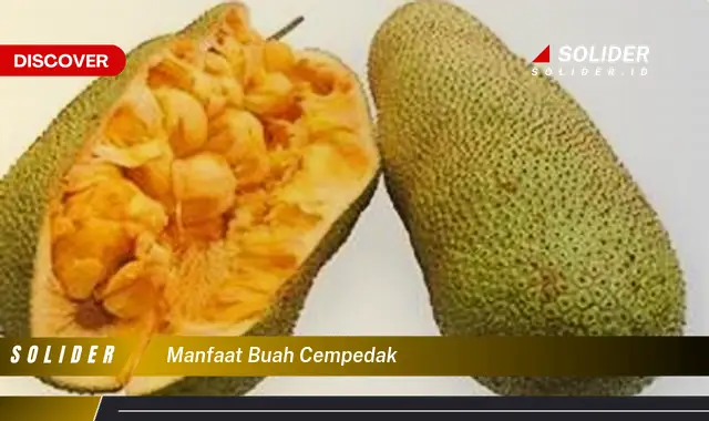 manfaat buah cempedak