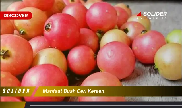 manfaat buah ceri kersen