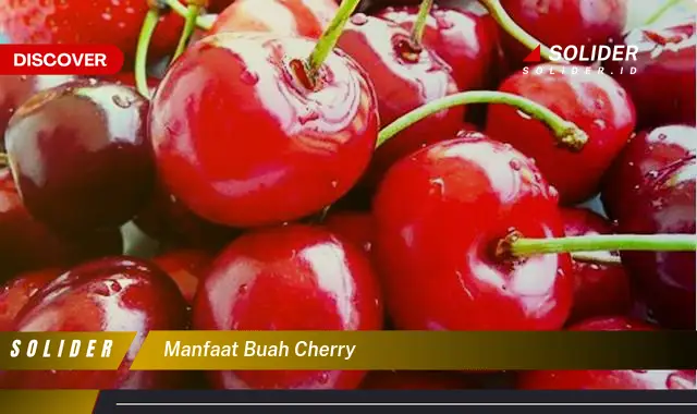 manfaat buah cherry