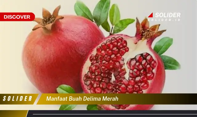 manfaat buah delima merah