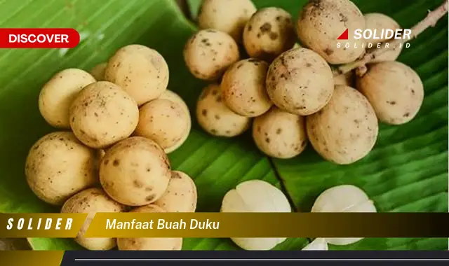 manfaat buah duku