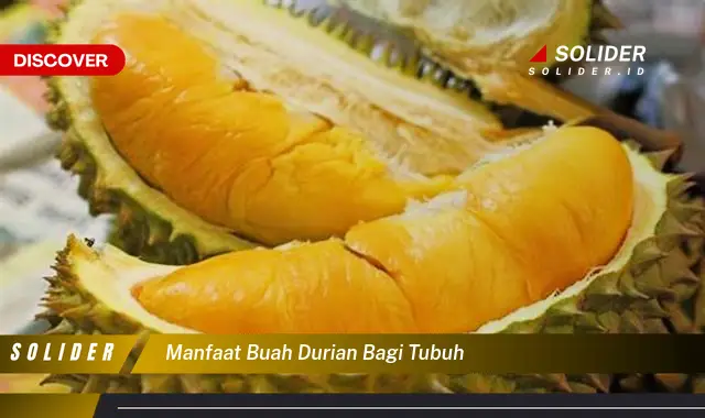 manfaat buah durian bagi tubuh