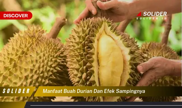 manfaat buah durian dan efek sampingnya