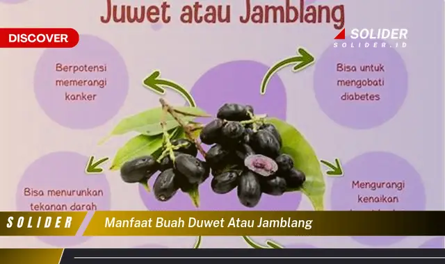 manfaat buah duwet atau jamblang