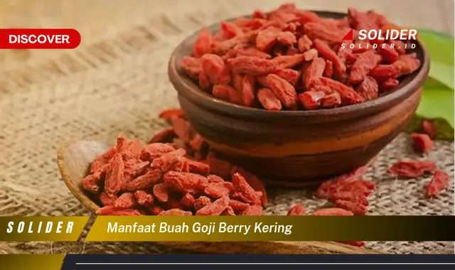 manfaat buah goji berry kering