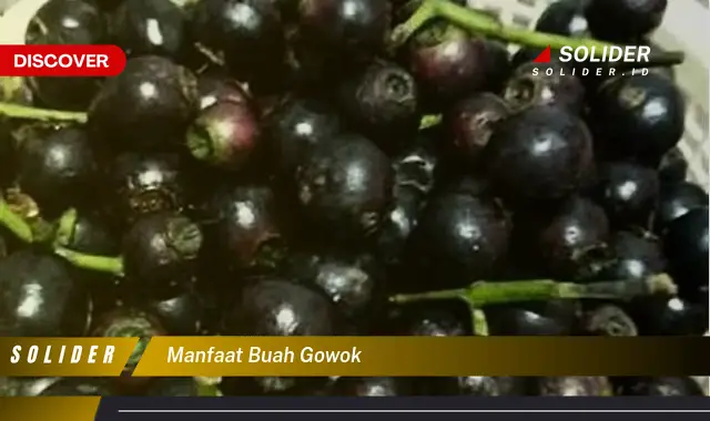 manfaat buah gowok