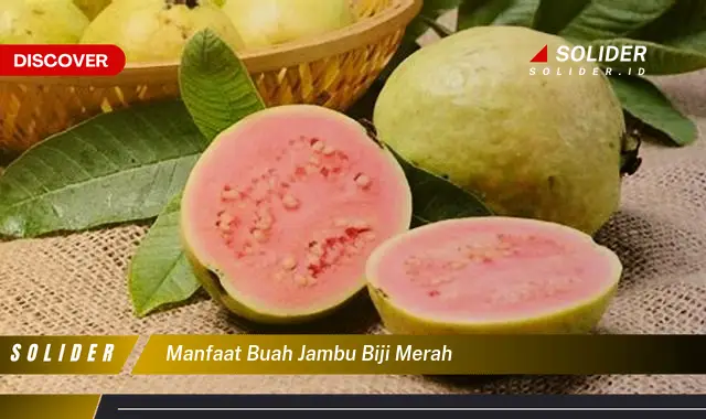 manfaat buah jambu biji merah