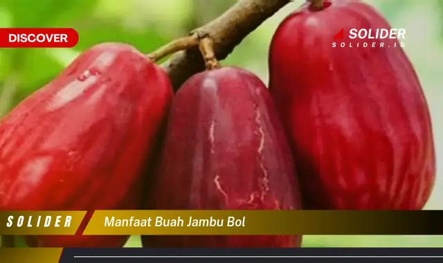 manfaat buah jambu bol