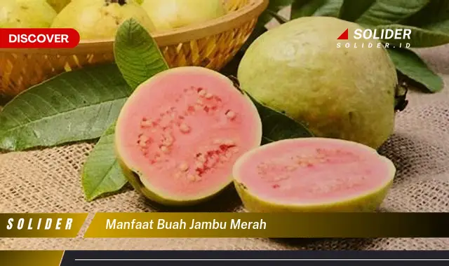 manfaat buah jambu merah