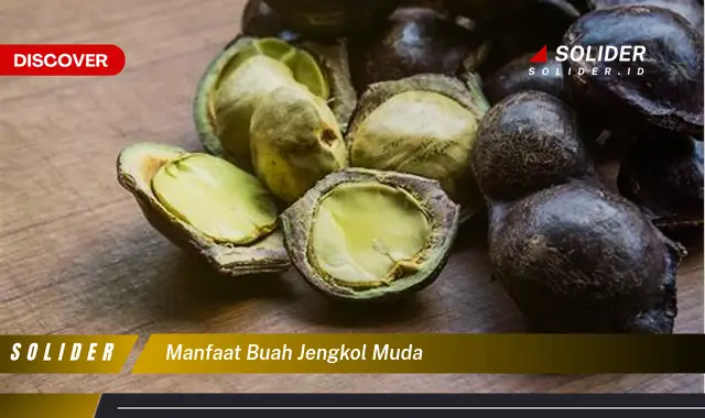 manfaat buah jengkol muda