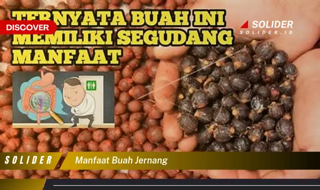 manfaat buah jernang