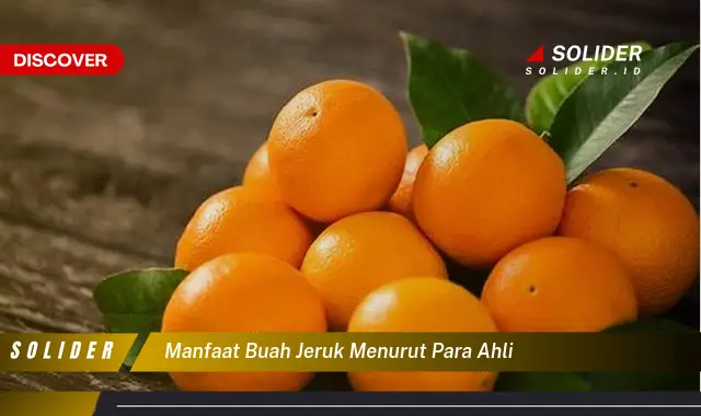 manfaat buah jeruk menurut para ahli