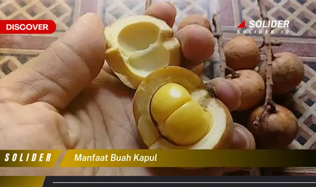 manfaat buah kapul