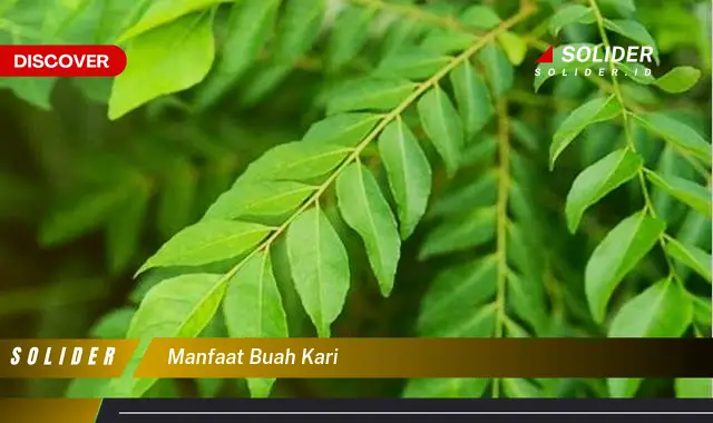 manfaat buah kari