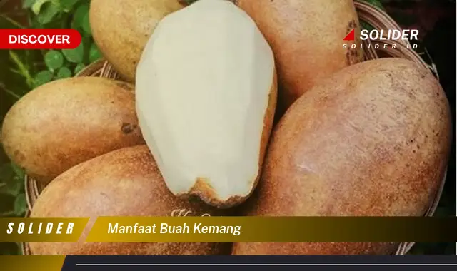 manfaat buah kemang