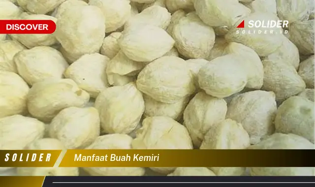 manfaat buah kemiri