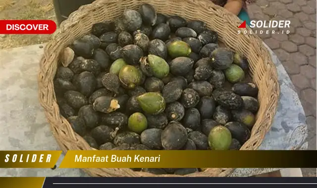 manfaat buah kenari