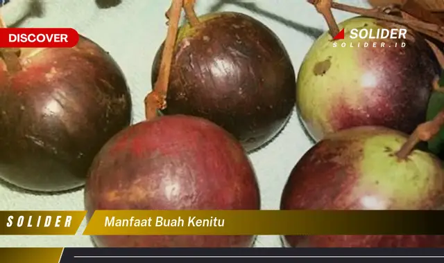 manfaat buah kenitu