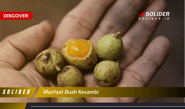 manfaat buah kesambi