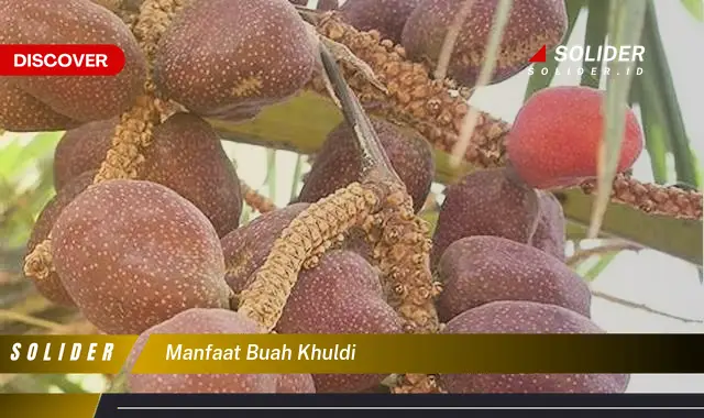 manfaat buah khuldi