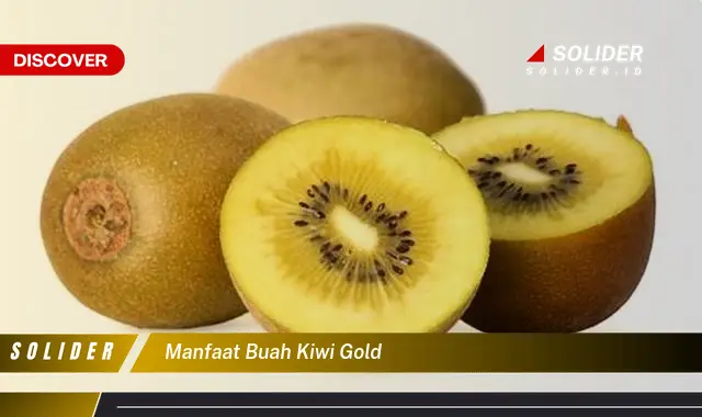 manfaat buah kiwi gold