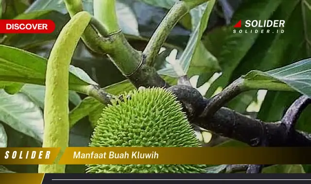 manfaat buah kluwih