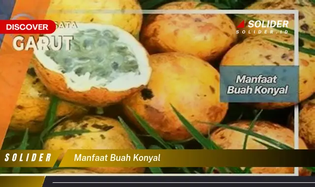 manfaat buah konyal