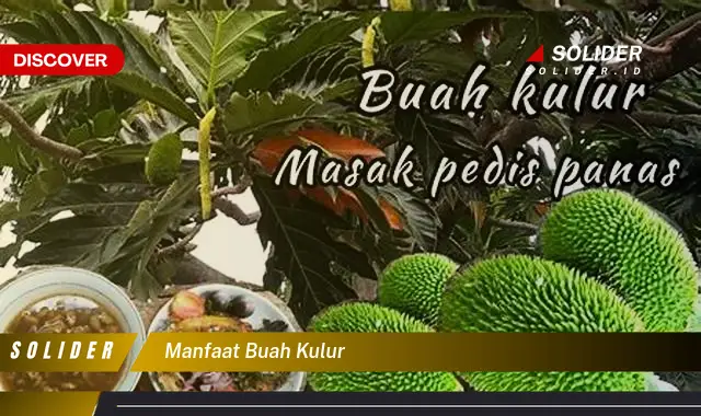 manfaat buah kulur