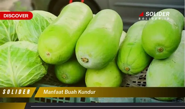 manfaat buah kundur