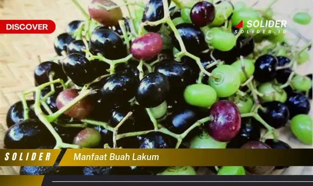 manfaat buah lakum