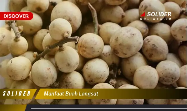 manfaat buah langsat